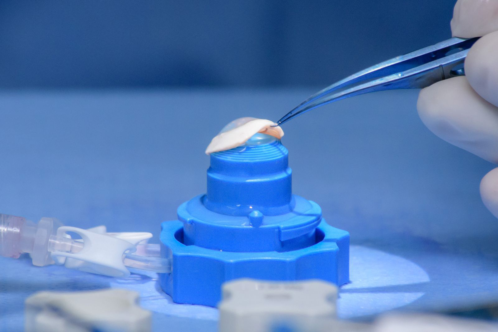 Microscópio